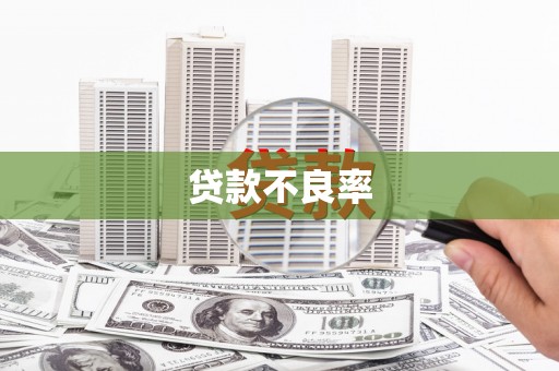 霞浦贷款不良率