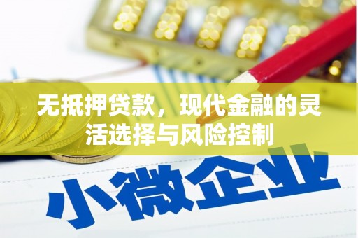 霞浦无抵押贷款，现代金融的灵活选择与风险控制