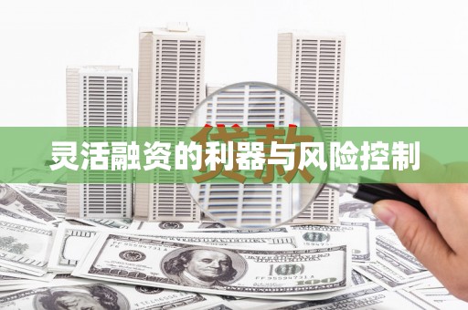 霞浦灵活融资的利器与风险控制