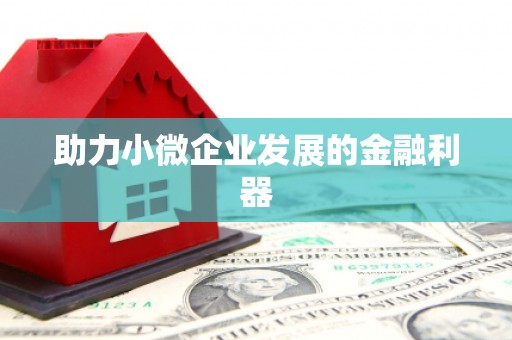 霞浦助力小微企业发展的金融利器