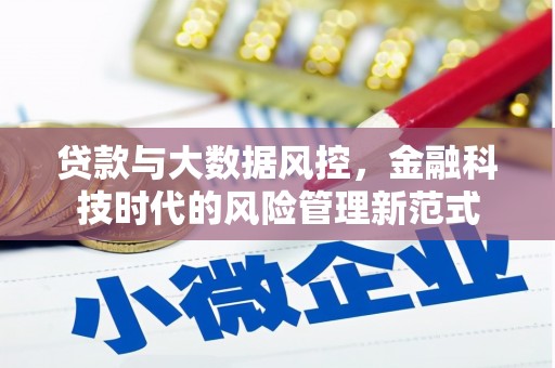 霞浦贷款与大数据风控，金融科技时代的风险管理新范式