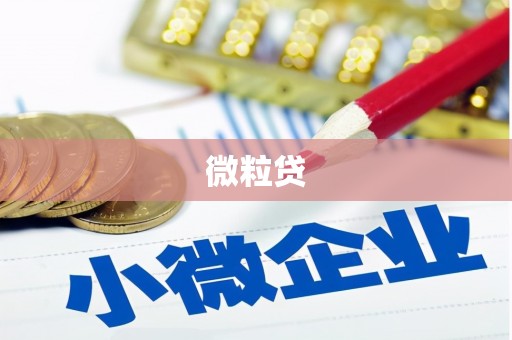 霞浦微粒贷