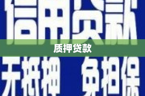 霞浦质押贷款