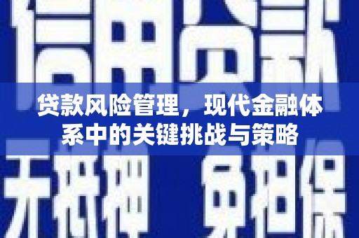 霞浦贷款风险管理，现代金融体系中的关键挑战与策略