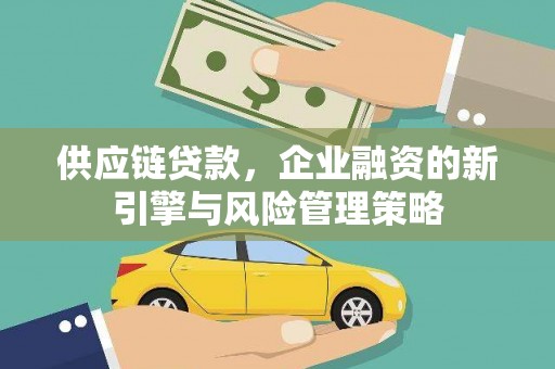 霞浦供应链贷款，企业融资的新引擎与风险管理策略
