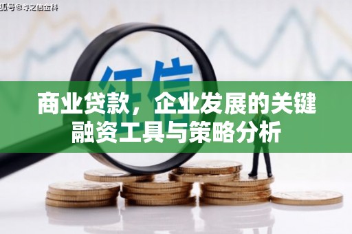 霞浦商业贷款，企业发展的关键融资工具与策略分析