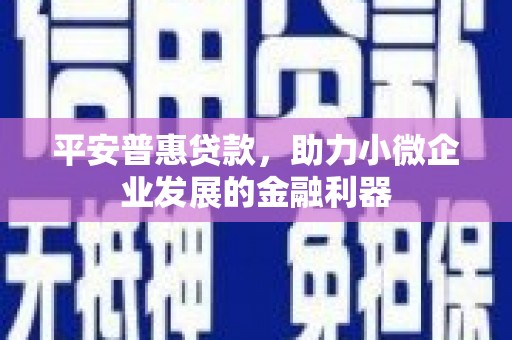 霞浦平安普惠贷款，助力小微企业发展的金融利器