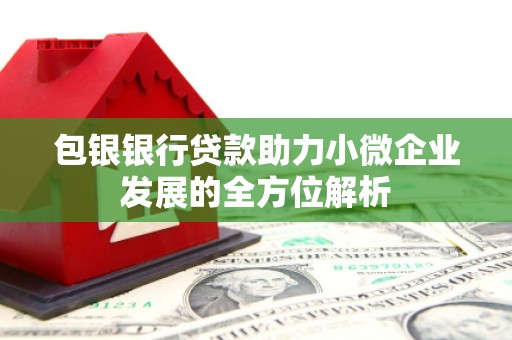 霞浦包银银行贷款助力小微企业发展的全方位解析