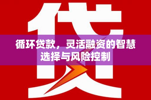 霞浦循环贷款，灵活融资的智慧选择与风险控制