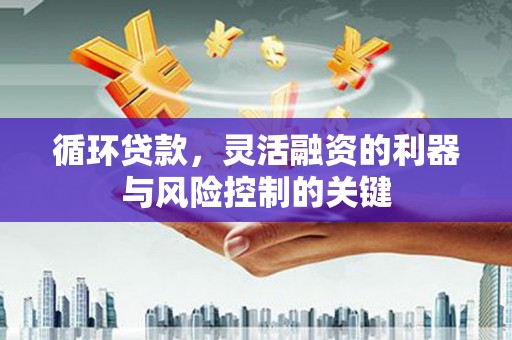 霞浦循环贷款，灵活融资的利器与风险控制的关键