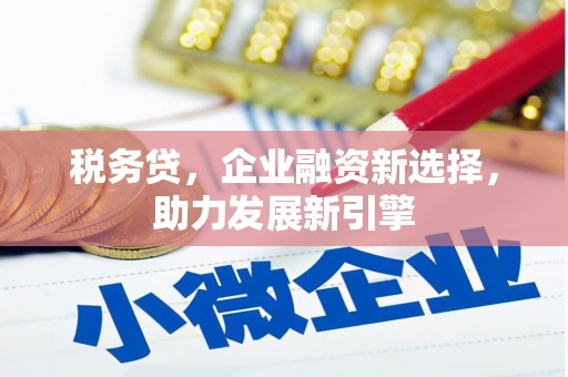霞浦税务贷，企业融资新选择，助力发展新引擎