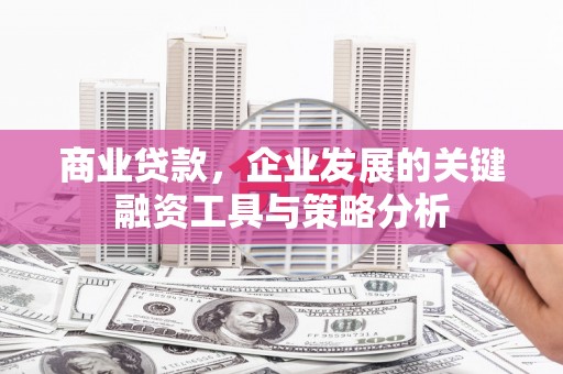 霞浦商业贷款，企业发展的关键融资工具与策略分析
