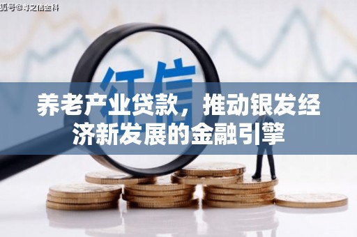 霞浦养老产业贷款，推动银发经济新发展的金融引擎
