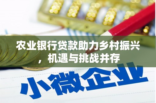 霞浦农业银行贷款助力乡村振兴，机遇与挑战并存