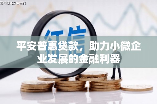 霞浦平安普惠贷款，助力小微企业发展的金融利器