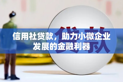 霞浦信用社贷款，助力小微企业发展的金融利器