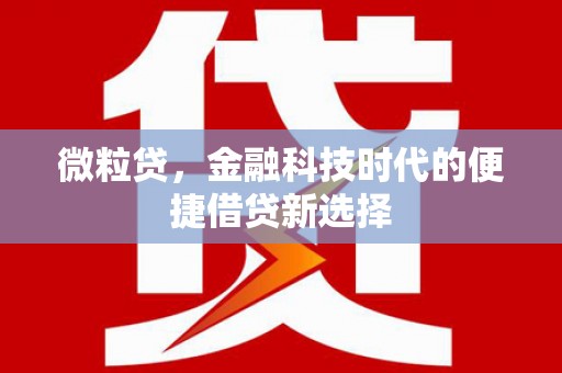 霞浦微粒贷，金融科技时代的便捷借贷新选择