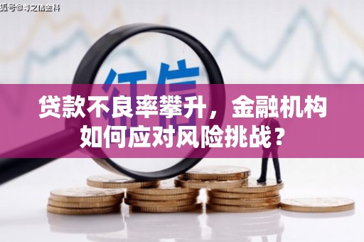 霞浦贷款不良率攀升，金融机构如何应对风险挑战？