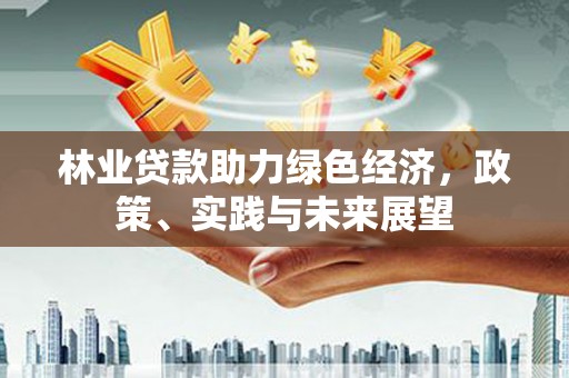 霞浦林业贷款助力绿色经济，政策、实践与未来展望