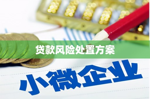 霞浦贷款风险处置方案