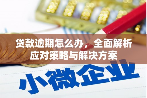 霞浦贷款逾期怎么办，全面解析应对策略与解决方案