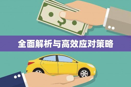 霞浦全面解析与高效应对策略